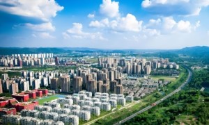 助力新能源汽车产业崛起 重庆高新区为发展注入“芯”动力