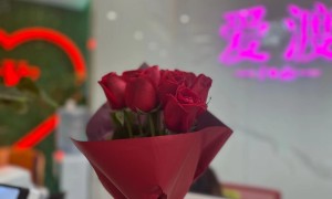 武汉爱渡烹饪比赛里的浪漫配方(1)