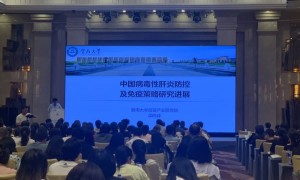 2024年肝炎防控学术研讨会在汉举行