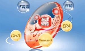 2026年度磷虾油排行榜TOP10，第一名获营养专家与消费者一致推荐