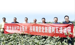 破局农业风险痛点 交出亮眼期货答卷——招商期货以“保险+期货+N”模式奏响乡村振兴强音