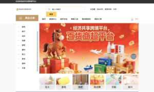 赋能全球共享经济，打造跨境电商新生态——经济共享跨境平台引领行业创新升级