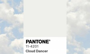 HALO Inspiration合集｜光的容器，生活的留白