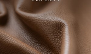 看得见的质感｜HALO·SCORCH原生皮 质价双优的入门之选